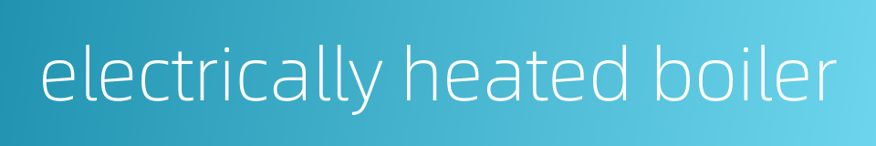 electrically heated boiler的同义词