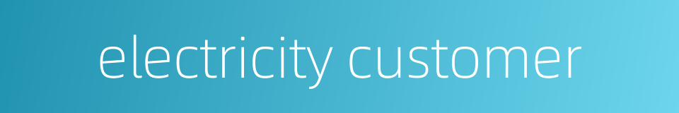 electricity customer的同义词