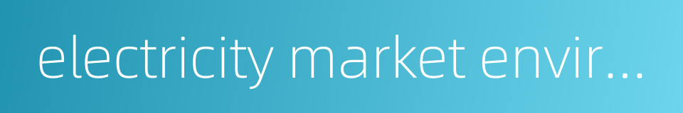 electricity market environment的同义词