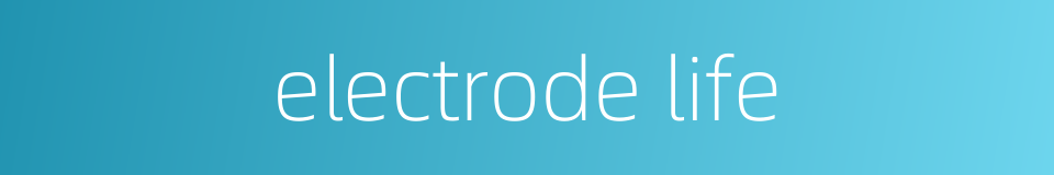 electrode life的同义词