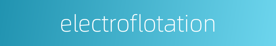 electroflotation的同义词