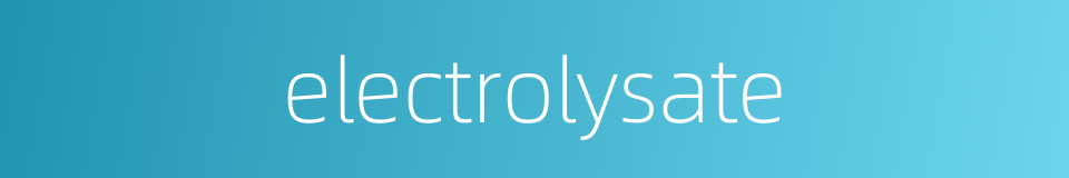 electrolysate的同义词