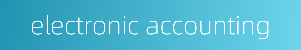 electronic accounting的同义词