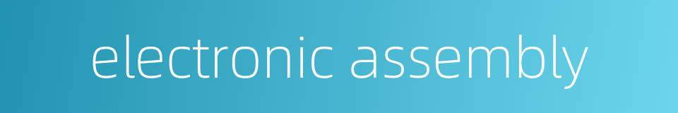 electronic assembly的同义词