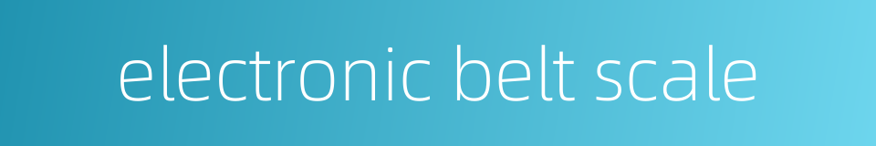 electronic belt scale的同义词