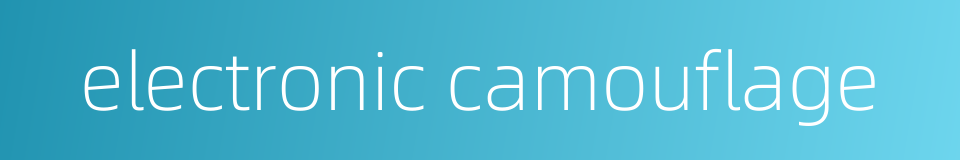 electronic camouflage的同义词