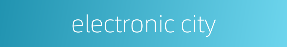 electronic city的同义词