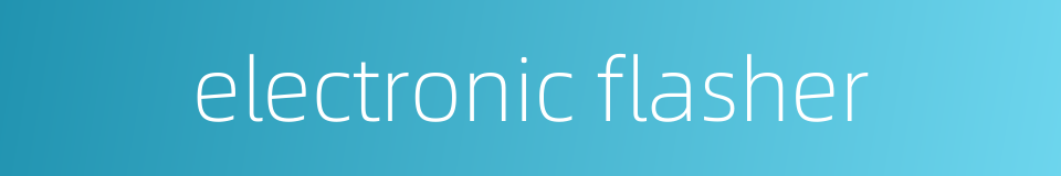 electronic flasher的同义词