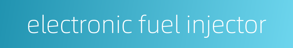 electronic fuel injector的同义词