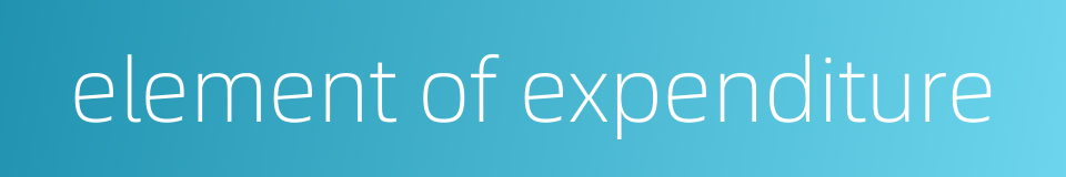 element of expenditure的同义词