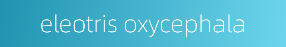 eleotris oxycephala的同义词