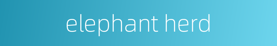 elephant herd的同义词