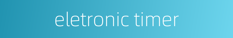eletronic timer的同义词