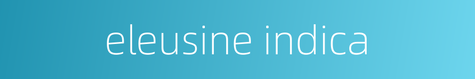 eleusine indica的同义词