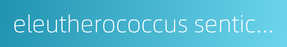 eleutherococcus senticosus的同义词