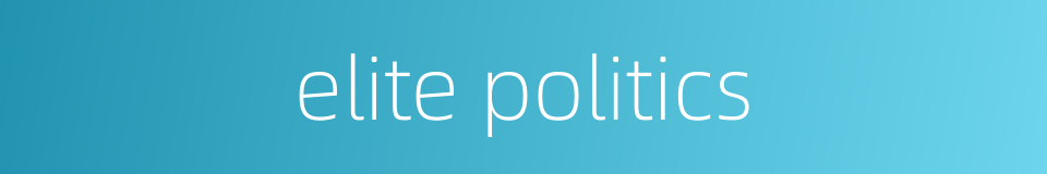elite politics的同义词