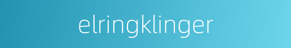 elringklinger的同义词