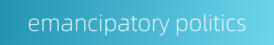 emancipatory politics的同义词