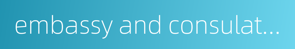 embassy and consulate abroad的同义词