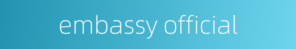 embassy official的同义词