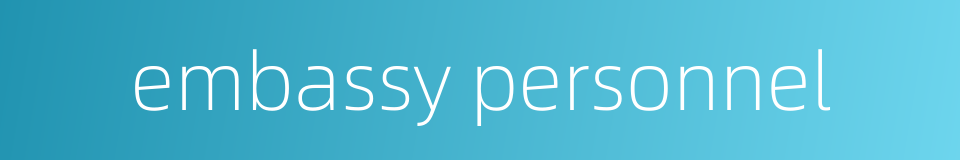 embassy personnel的同义词