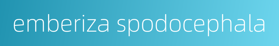 emberiza spodocephala的同义词