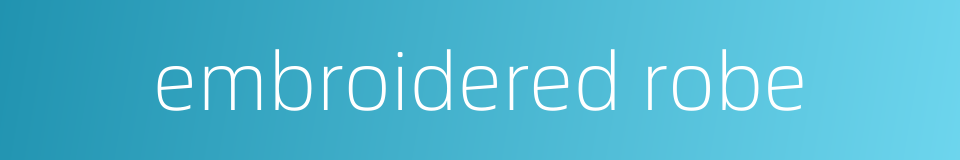 embroidered robe的同义词