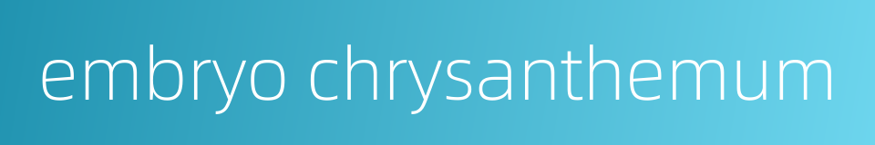 embryo chrysanthemum的同义词