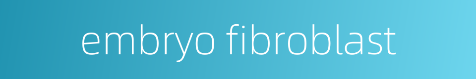 embryo fibroblast的同义词