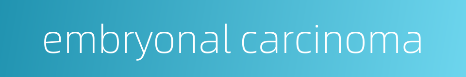 embryonal carcinoma的同义词