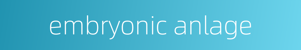 embryonic anlage的同义词