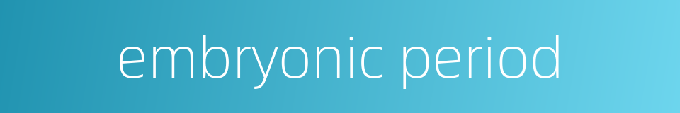 embryonic period的同义词