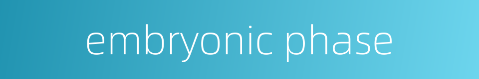 embryonic phase的同义词