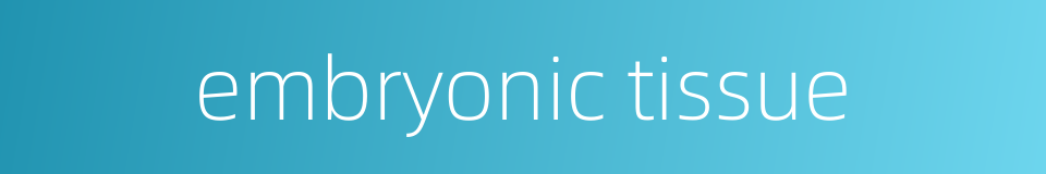 embryonic tissue的同义词