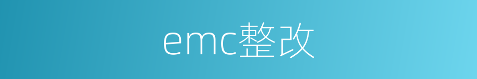 emc整改的同义词