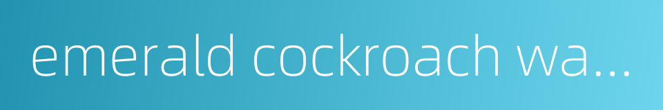 emerald cockroach wasp的同义词