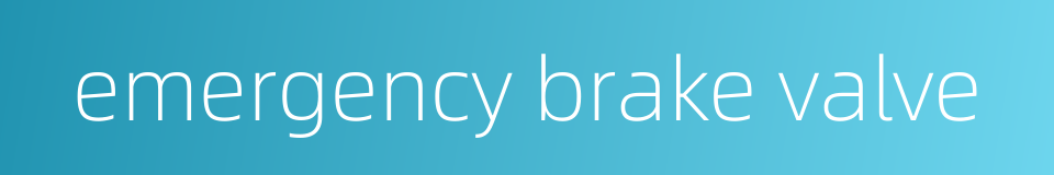 emergency brake valve的同义词