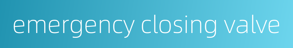 emergency closing valve的同义词