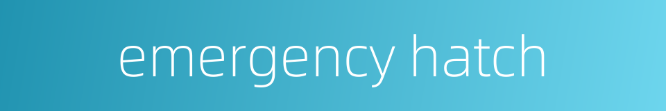 emergency hatch的同义词