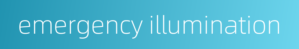 emergency illumination的同义词