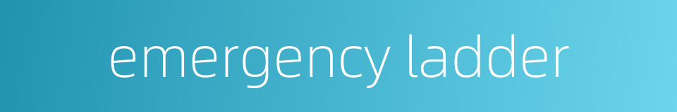 emergency ladder的同义词