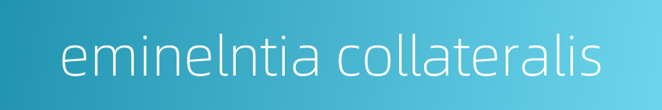 eminelntia collateralis的同义词