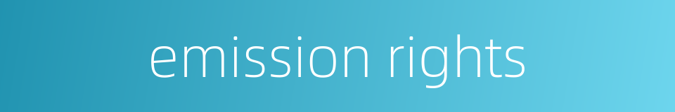 emission rights的同义词