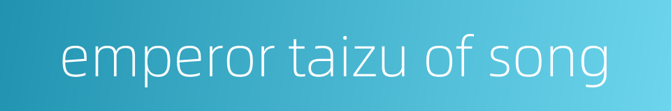 emperor taizu of song的同义词
