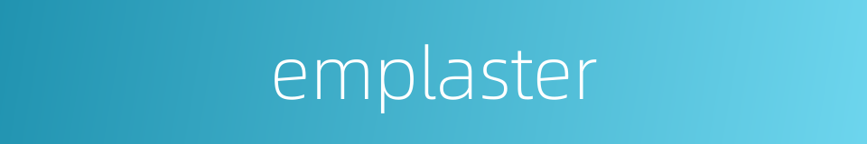 emplaster的同义词