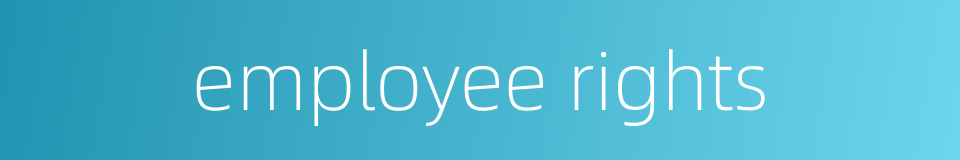 employee rights的同义词