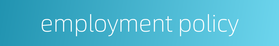 employment policy的同义词