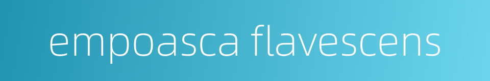 empoasca flavescens的同义词