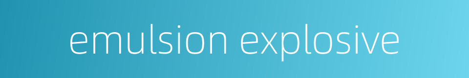 emulsion explosive的同义词