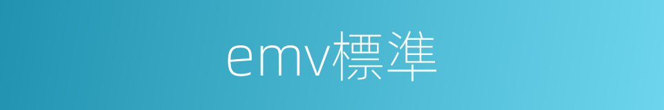 emv標準的同義詞
